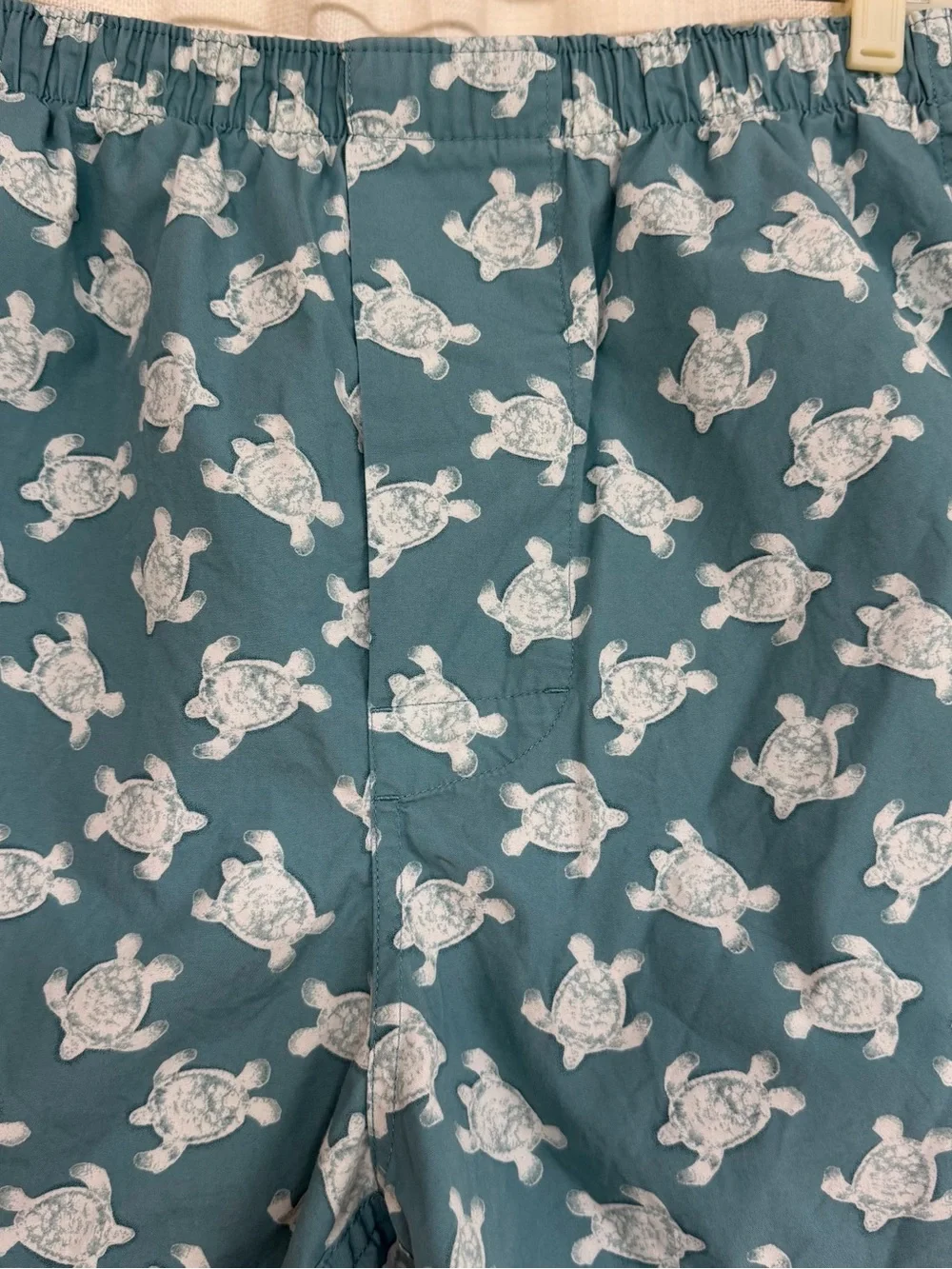 Banana Republic Teal Turtle-Print Boxers